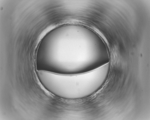 X0000089911437200706290718