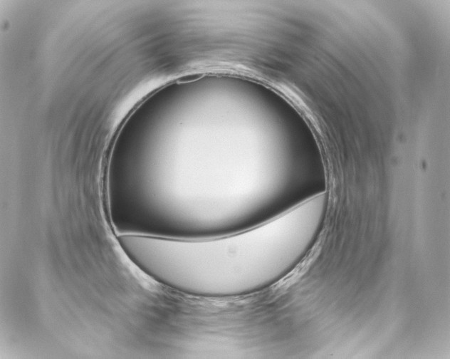 X0000089911438200706290718
