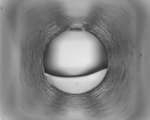 X0000089911441200706290717