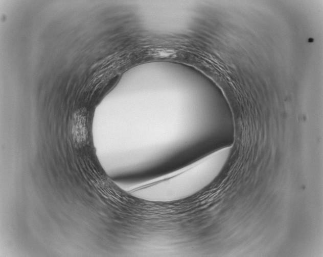 X0000089911442200706290717