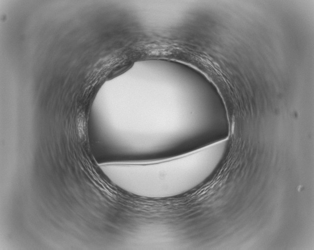 X0000089911444200706290717