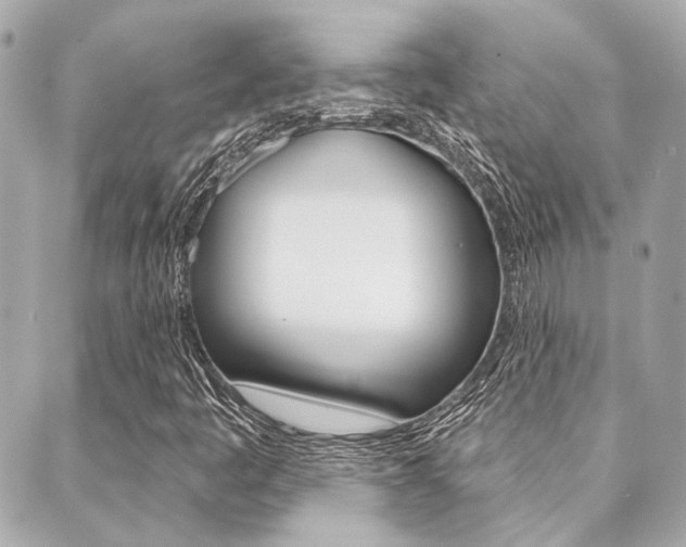 X0000089911445200706290717