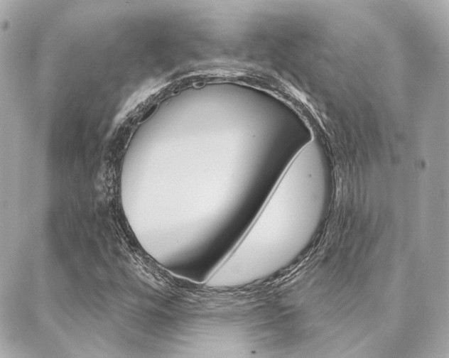 X0000089911448200706290717