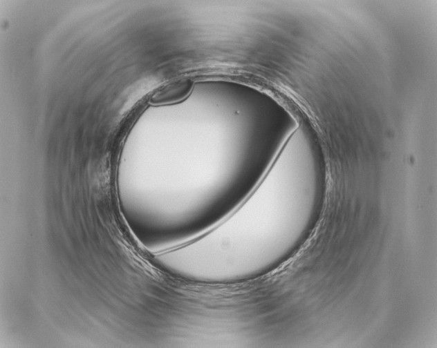 X0000089911450200706290717