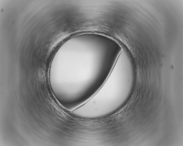 X0000089911452200706290717