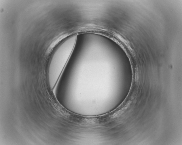 X0000089911453200706290717