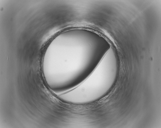 X0000089911456200706290717
