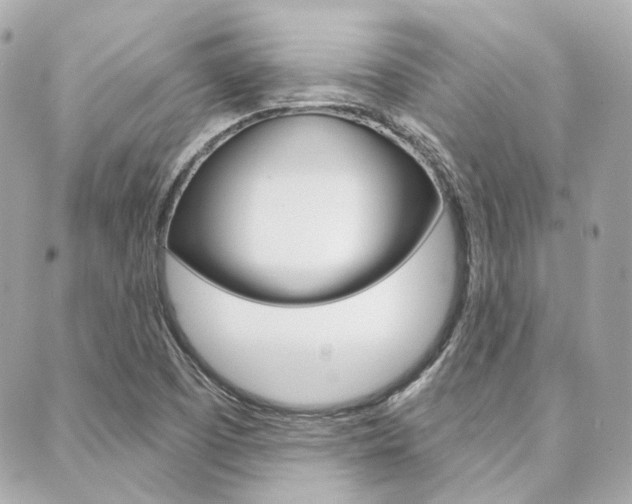 X0000089911457200706290717