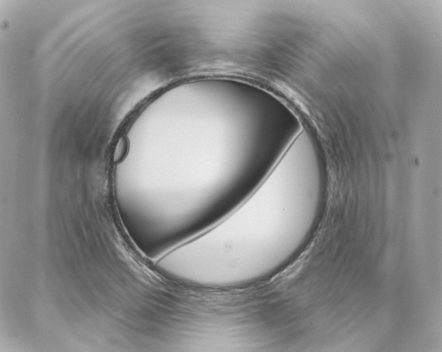 X0000089911458200706290717
