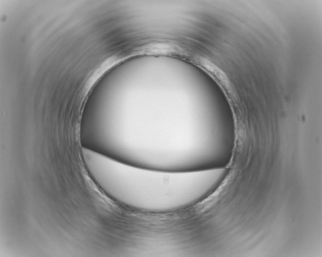 X0000089911473200706290717