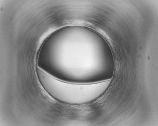X0000089911480200706290717