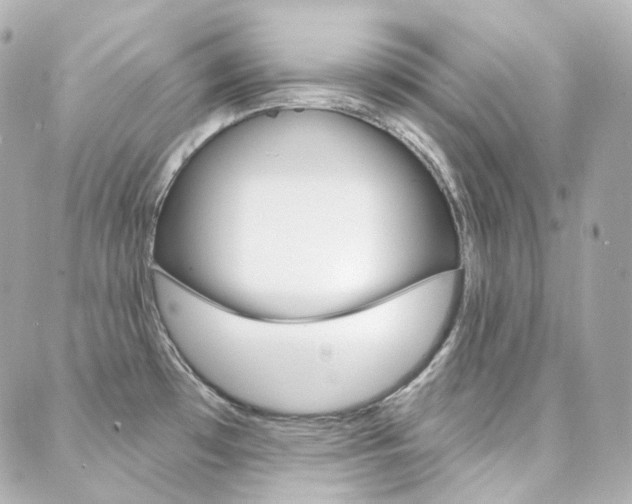 X0000089911481200706290717