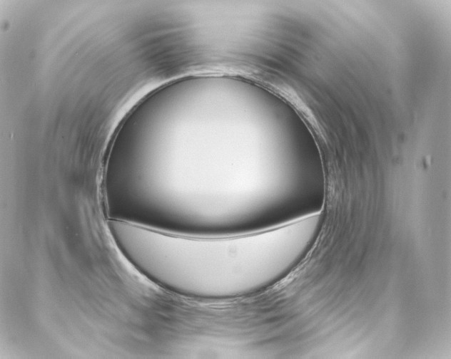 X0000089911484200706290717