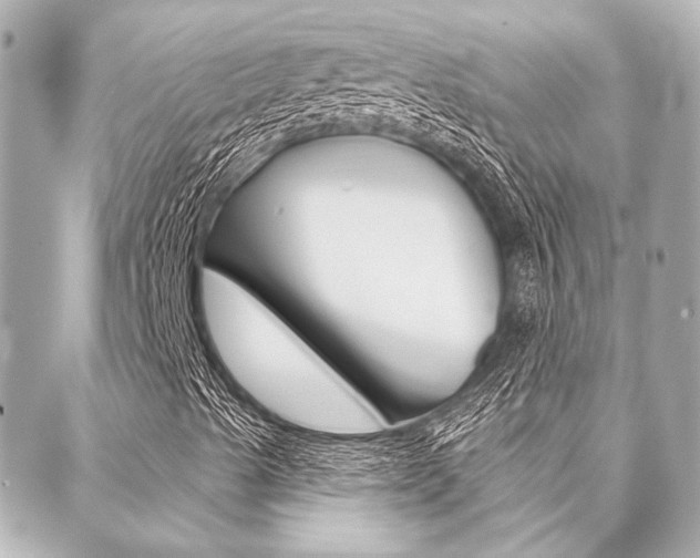 X0000089911489200706290716