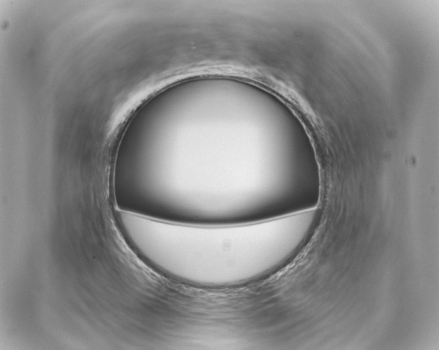 X0000089911504200706290716