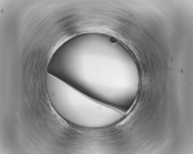 X0000089911529200706290717