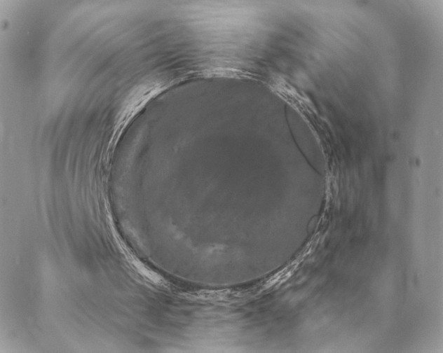 X0000089910049200706291114