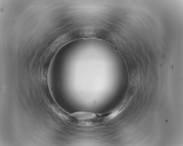 X0000089910140200706291113
