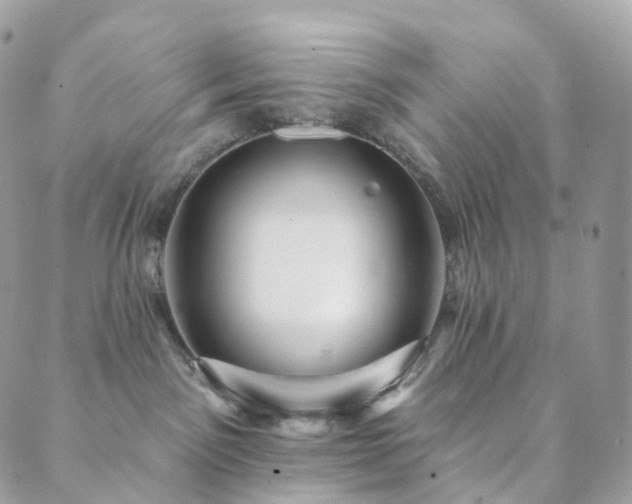 X0000089910141200706291113