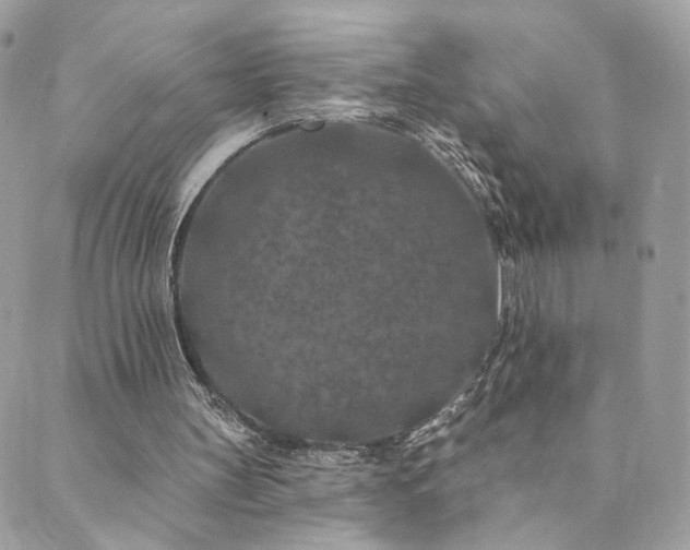 X0000089910147200706291112