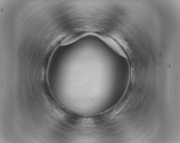 X0000089910157200706291112