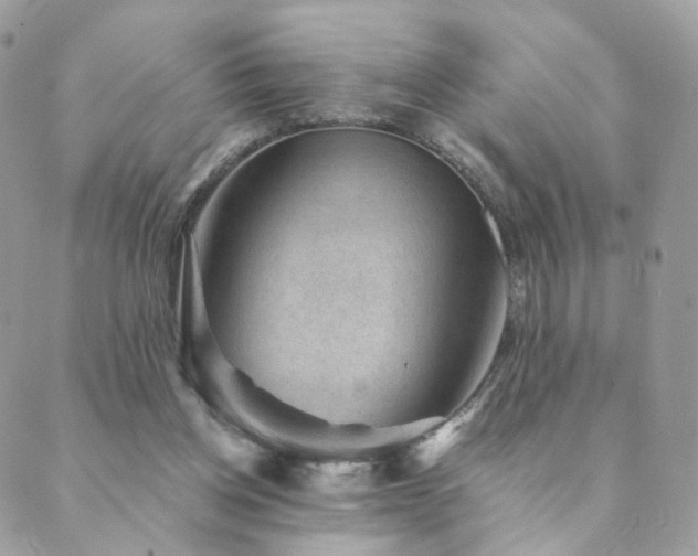 X0000089910158200706291112
