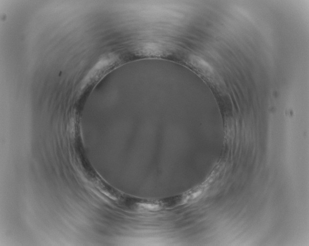 X0000089910167200706291112
