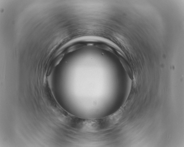 X0000089910172200706291112