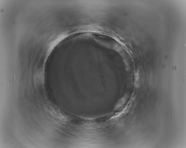 X0000089910200200706291112