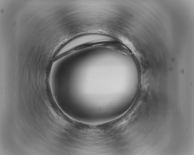 X0000089910201200706291112