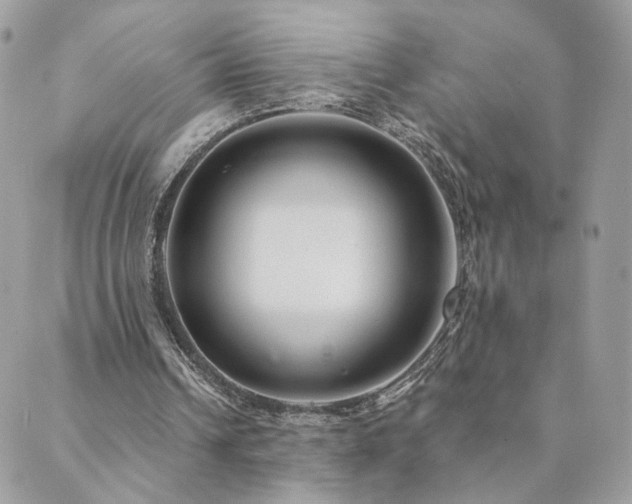 X0000089910242200706291110