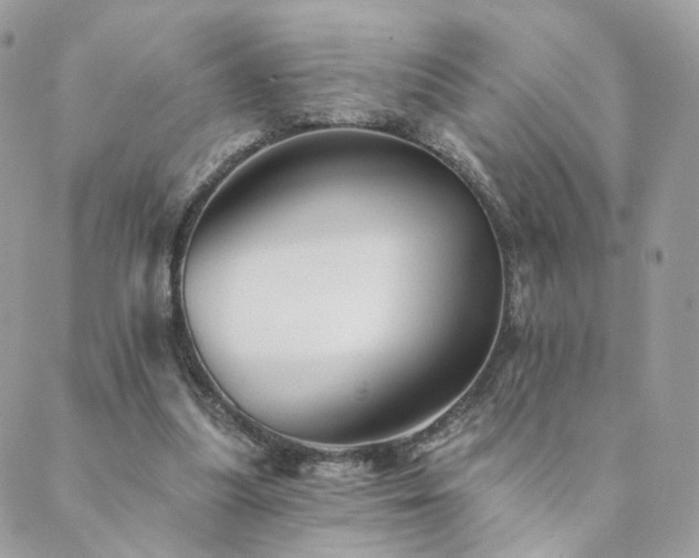 X0000089910251200706291111