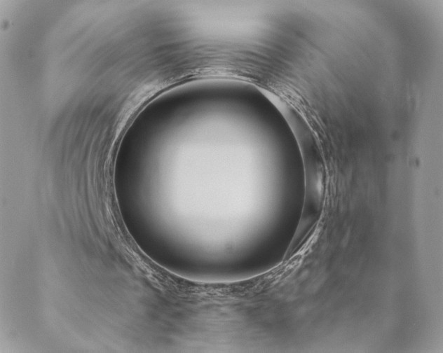 X0000089910289200706291110