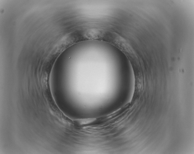 X0000089910332200706291110