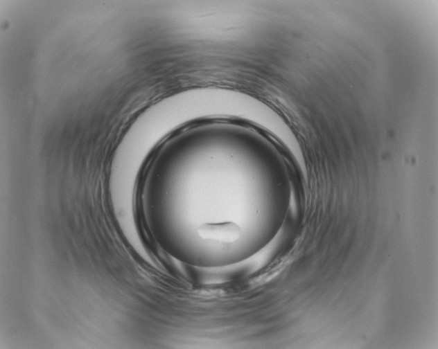 X0000089910333200706291110