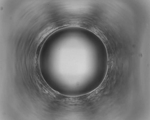 X0000089910338200706291109