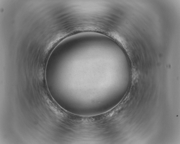 X0000089910345200706291109