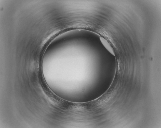 X0000089910348200706291109