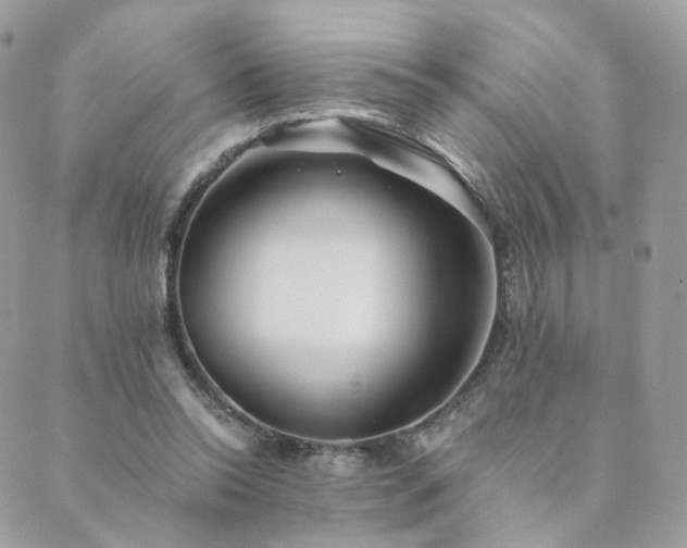 X0000089910350200706291109