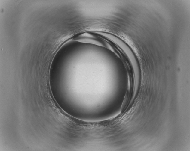 X0000089910385200706291109