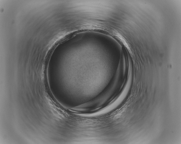 X0000089910387200706291109