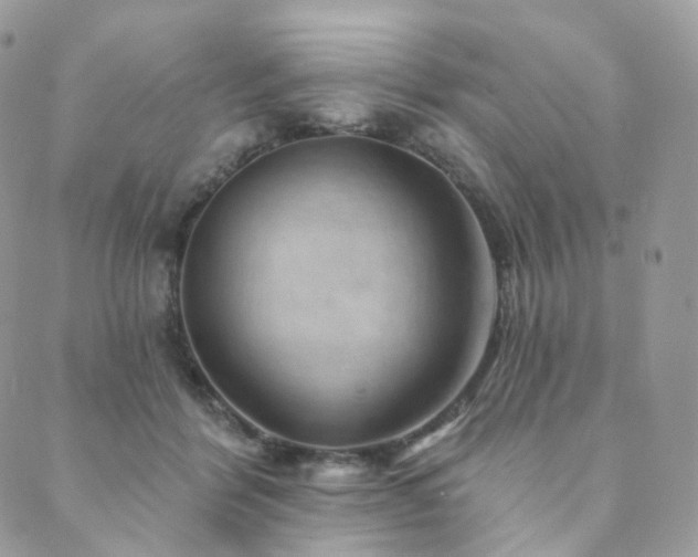 X0000089910412200706291108