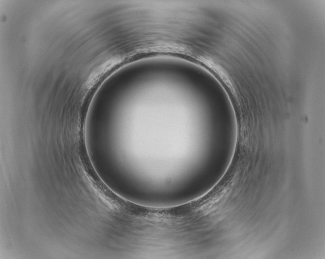X0000089910437200706291107
