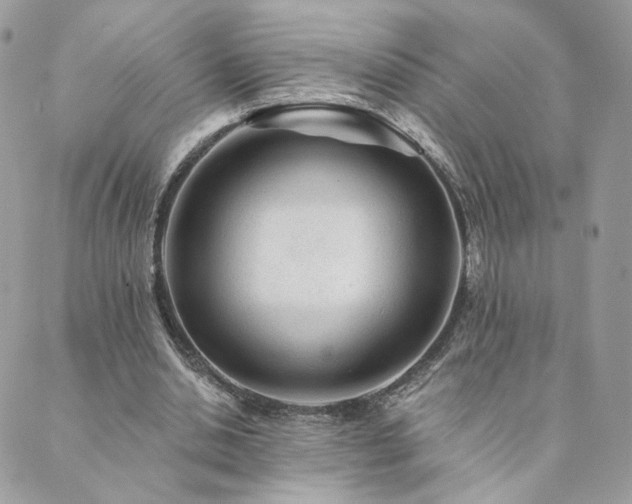 X0000089910438200706291107