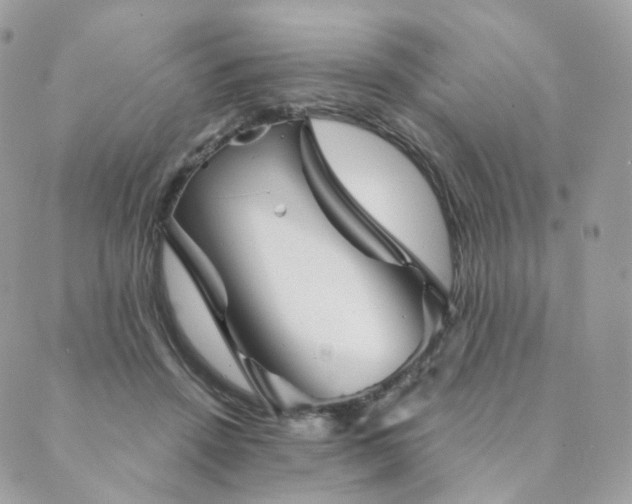 X0000089910456200706291108