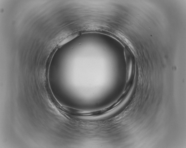 X0000089910485200706291107