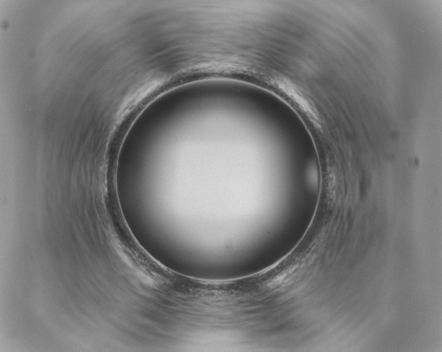 X0000089910486200706291107