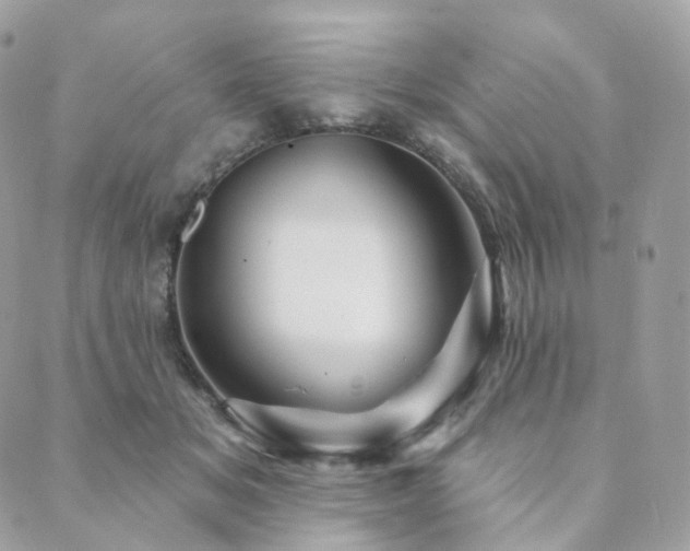 X0000089910509200706291107