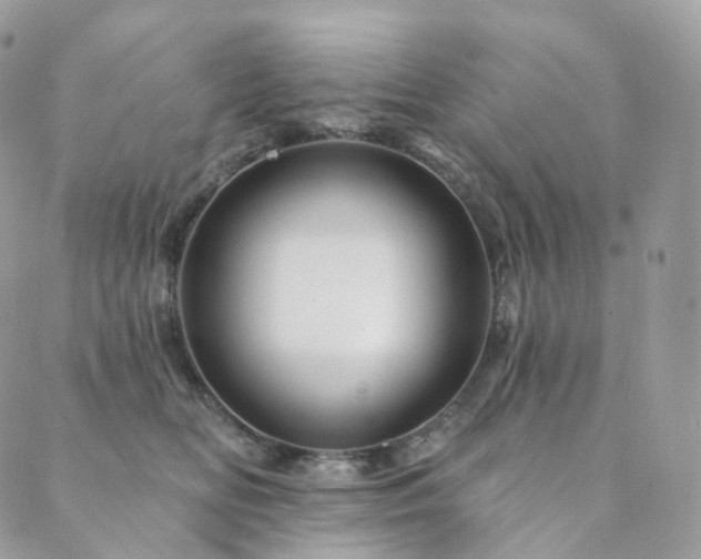 X0000089910518200706291107