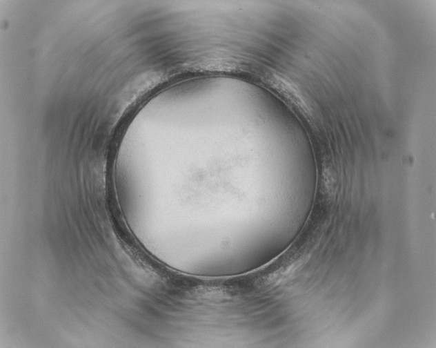 X0000089910534200706291106